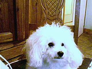 titine